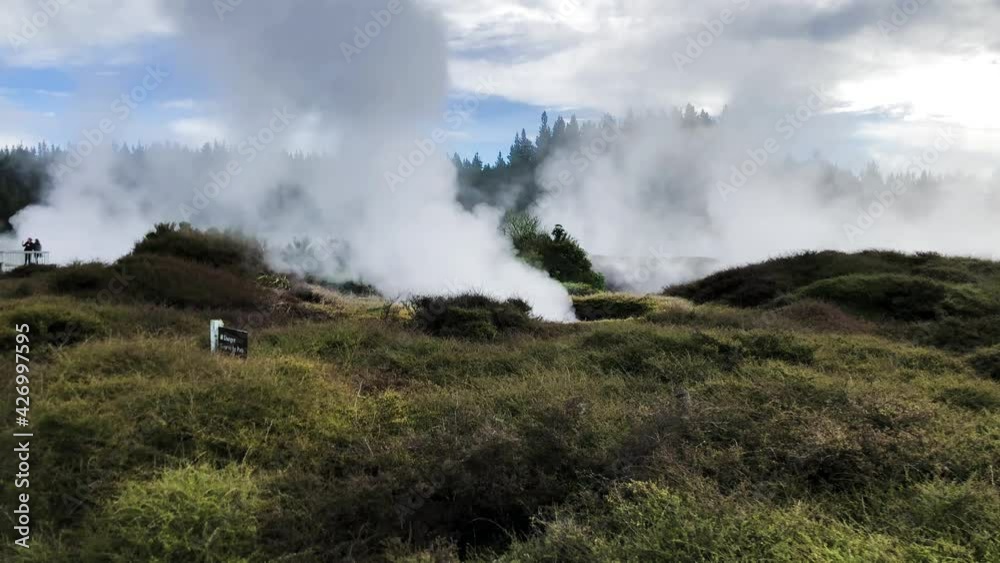 Poster Powerful geysers of Rotorua, New Zealand