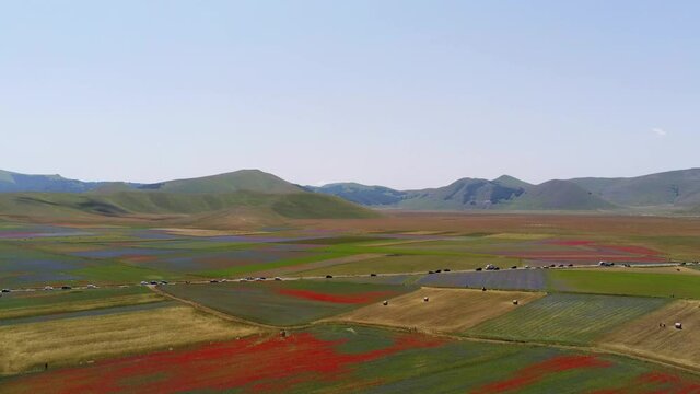 Flowering in Castelluccio di Norcia in the Sibillini Mountains National Park seen from the drone of the plain full of colorful flowers