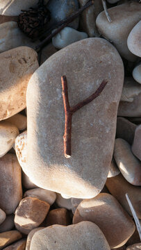 Palo Con Forma De Letra Y Sobre Piedras