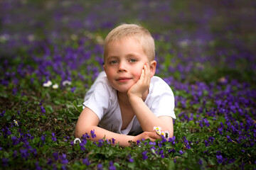 Small boy lying on lawn with violet flowers in park. Kid portrait and spring blossom.