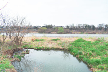 敷島公園風景