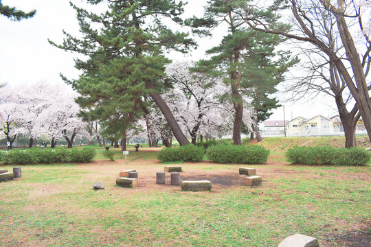 「敷島」の写真素材 73件の無料イラスト画像 Adobe Stock