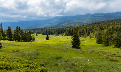 Obraz premium Panorama of Giant Mountains next to trail to Sniezka