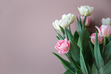 Bouquet of fresh pink white tulips on a beautiful pastel background