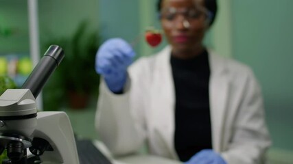 African biologist holding strawberry injected with dna liquid with medical tweezers checking health of fruits. In background her collegue researching gmo test on computer while working in farming lab - Powered by Adobe