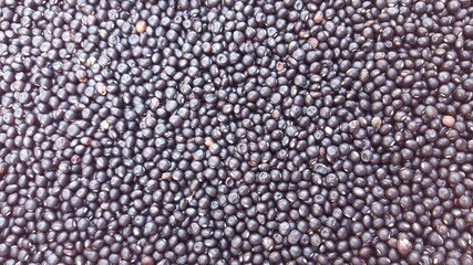 cajanus cajan seed details. suitable for backgrounds and wallpapers