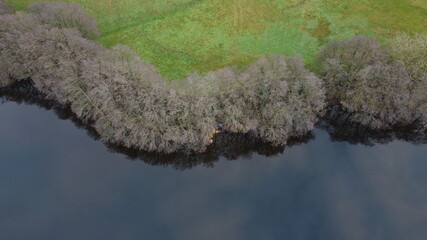 Halb Wasser und halb Feld welche durch eine Baumreihe getrennt werden. Aufgenommen an einem See in Schleswig-Holstein, Deutschland.