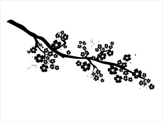 A  japanese sakura blossom branch on a white background. Isolated black silhouette with beautiful spring cherry flowers. Vector illustration.