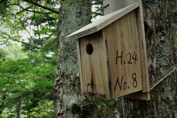 奥多摩、雲取山の登山風景、鳥小屋