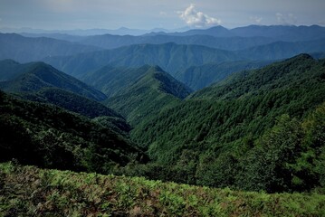 Naklejka premium 奥多摩、雲取山の登山風景