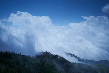 奥多摩、雲取山の登山風景