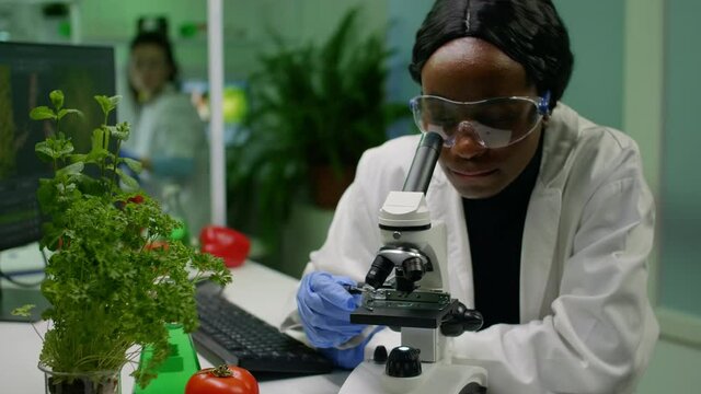 Front view of biologist researcher woman analyzing gmo green sample under medical microscope. Chemist scientist examining organic agriculture plants in microbiology scientific laboratory