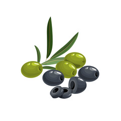 Black and green pitted olives with cuts and leaves in cartoon style.  Flat simple design element for packaging, logos and other olive products. Vector illustration isolated on white.