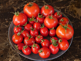 tomatoes on the vine