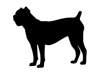 Cane corso dog silhouette, Vector silhouette of a dog on a white background.	
