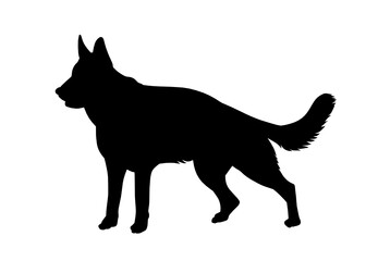 Shepherd dog silhouette, Vector silhouette of a dog on a white background.	