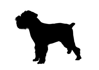 Brussels griffon dog silhouette, Vector silhouette of a dog on a white background.	