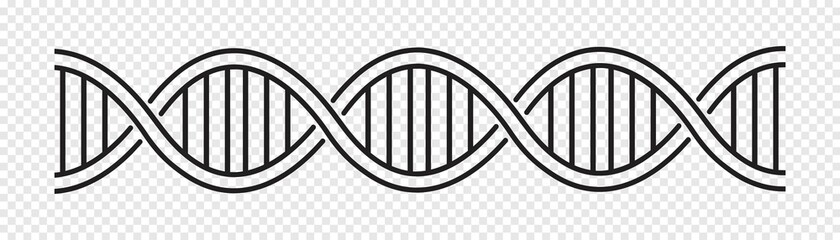 dna icon, dna helix, chromosome, molecule symbol, Vector illustration.