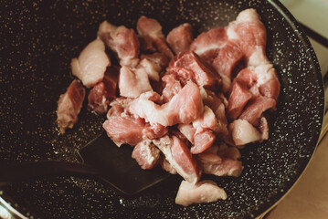 Food ingridients: meat, onion, ginger for recipe stewed beans with meat frying in a pen on a stove. Steps in cooking, process of preparing food. Concept of homemade healthy food.