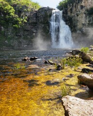 waterfall in the forest
