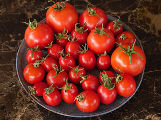 tomatoes on vine