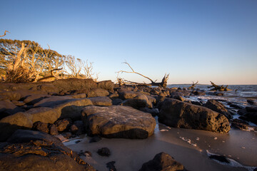 Sunrise on Talbot Island's boneyard beach in Jacksonville, FL