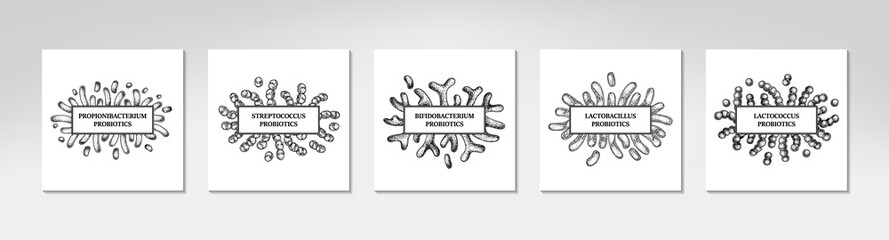 Set of hand drawn probiotics frames. Design for packaging and medical information. Vector illustration in sketch style