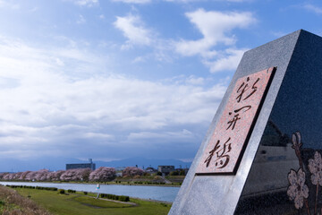 三重県四日市市　海蔵川の桜並木1