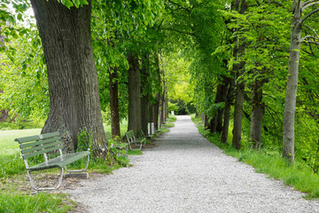 Fototapeta na wymiar Road, benches and trees in the park of Zurich