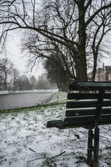Classic green bench in a snowy park, old and winter trees in the background.