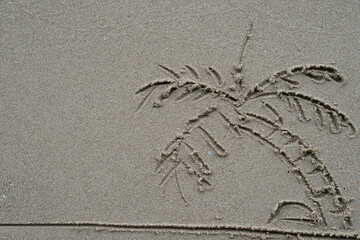 Line drawing on the sand beach. Coconut tree pattern on the sandy beach For beach tourism background.