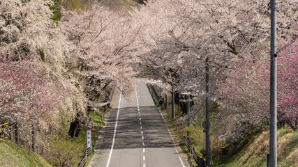 bridge over the river