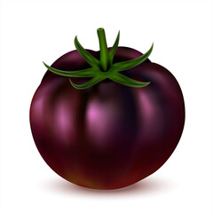 Dark red tomato isolated on white background. 3d realistic fresh tomato whole. Side view. 