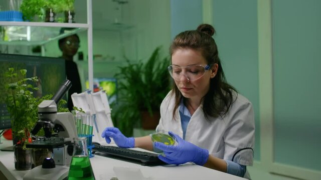 Chemist scientist taking dna solution from test tube with micropipette putting in petri dish checking biology expertise. Biologist specialist researcher working in biotechnology laboratory