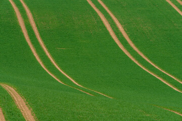 Fahrzeugspuren auf Feld
