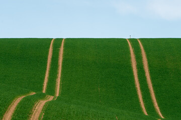 Fahrzeugspuren auf Feld