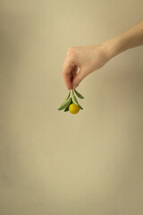 Lemon on yellow background