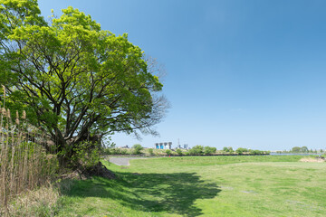 春の埼玉県川口市の風景　荒川河川敷　4月