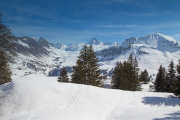 Fototapeta premium Montagne