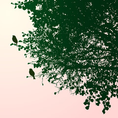 Vector illustration of silhouettes birds on tree branches in summer morning