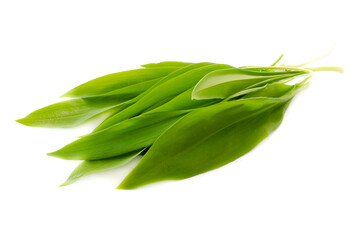 Fototapeta premium Fresh green leaves of wild garlic isolated on white background, top view, copy space for text. Allium ursinum, known as wild garlic, top view. Ramson leaves isolated on white background, top view.
