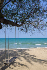 Turquoise blue sea view with swing at pine tree on beach, Nature background wallpaper