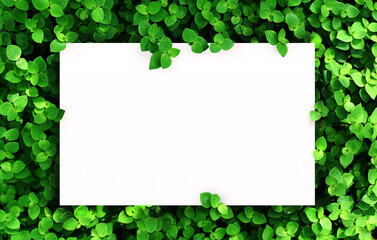 white paper on green leaf background with center free space for montage text or product