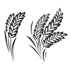 graphic wheat plant on white background