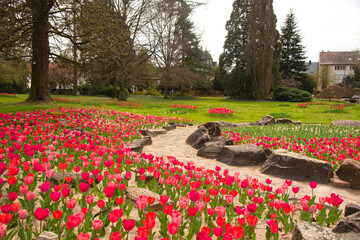 Stadtpark in Lahr zur Tuopenblüte