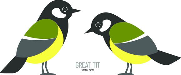Vector couple of set birds tits on white background