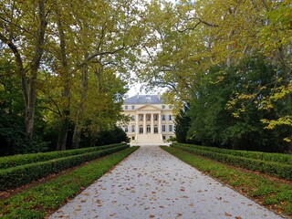 Vignoble du Medoc, région de Bordeaux