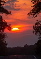 The early morning sun is shining beautifully.