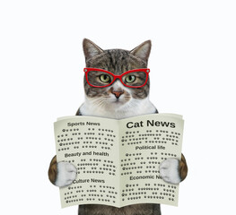 A colored cat in glasses is holding an open newspaper. White background. Isolated.