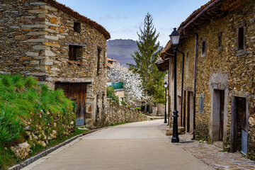 Fototapeta na wymiar Nice narrow street of old town with stone houses and flowering trees. La Hiruela Madrid.